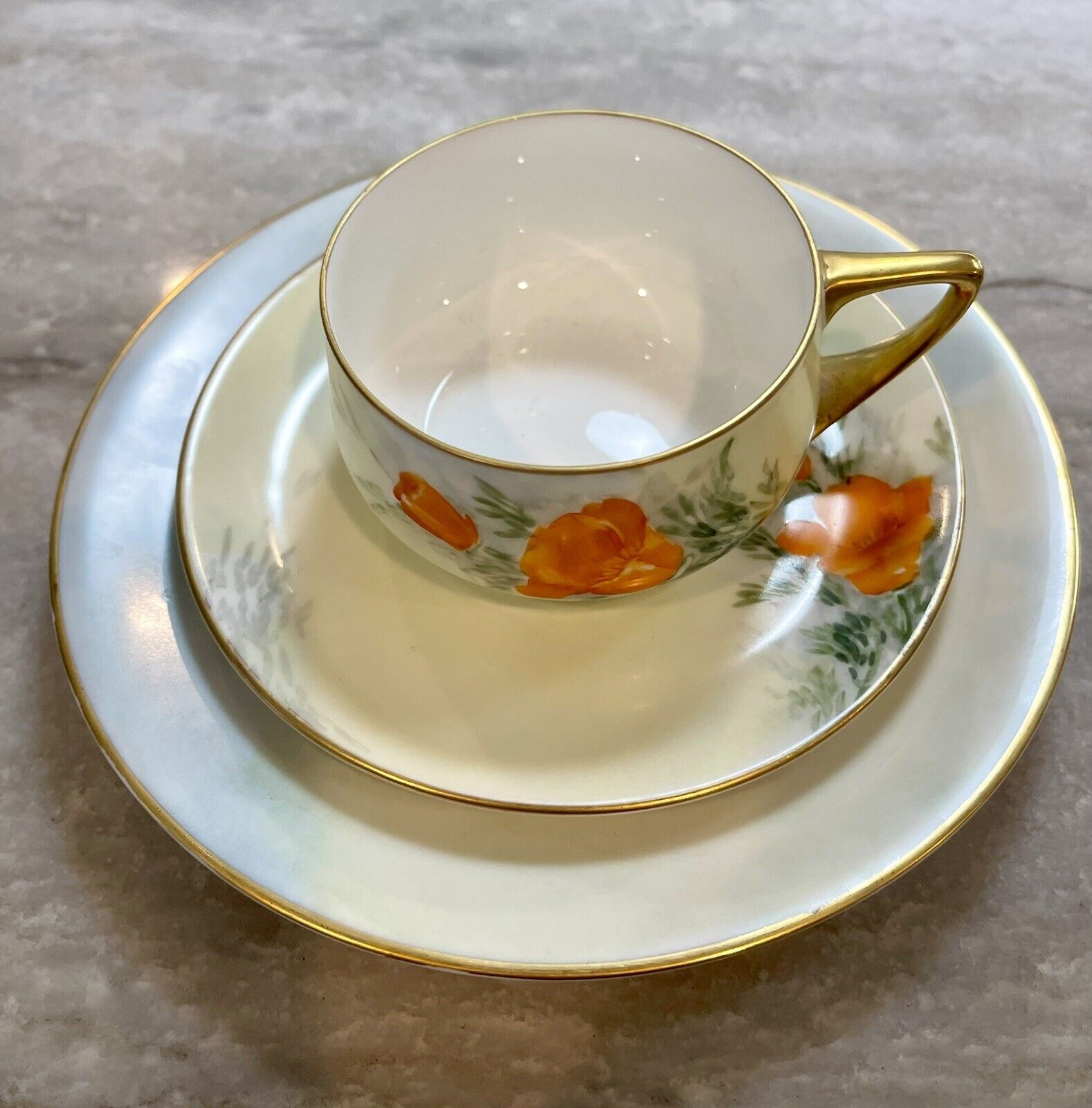 Rosenthal Selb Bavaria Donatello Tea Cup, Saucer and Dessert Plate DS54