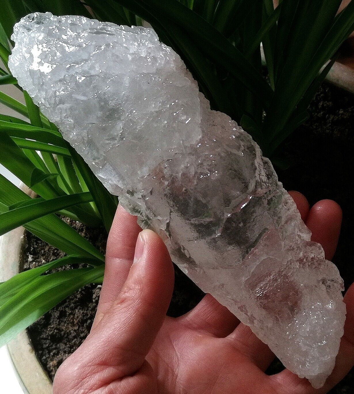 565g 185mm Amazing Luster & Clear & Clean Himalayan Nirvana Interference Quartz
