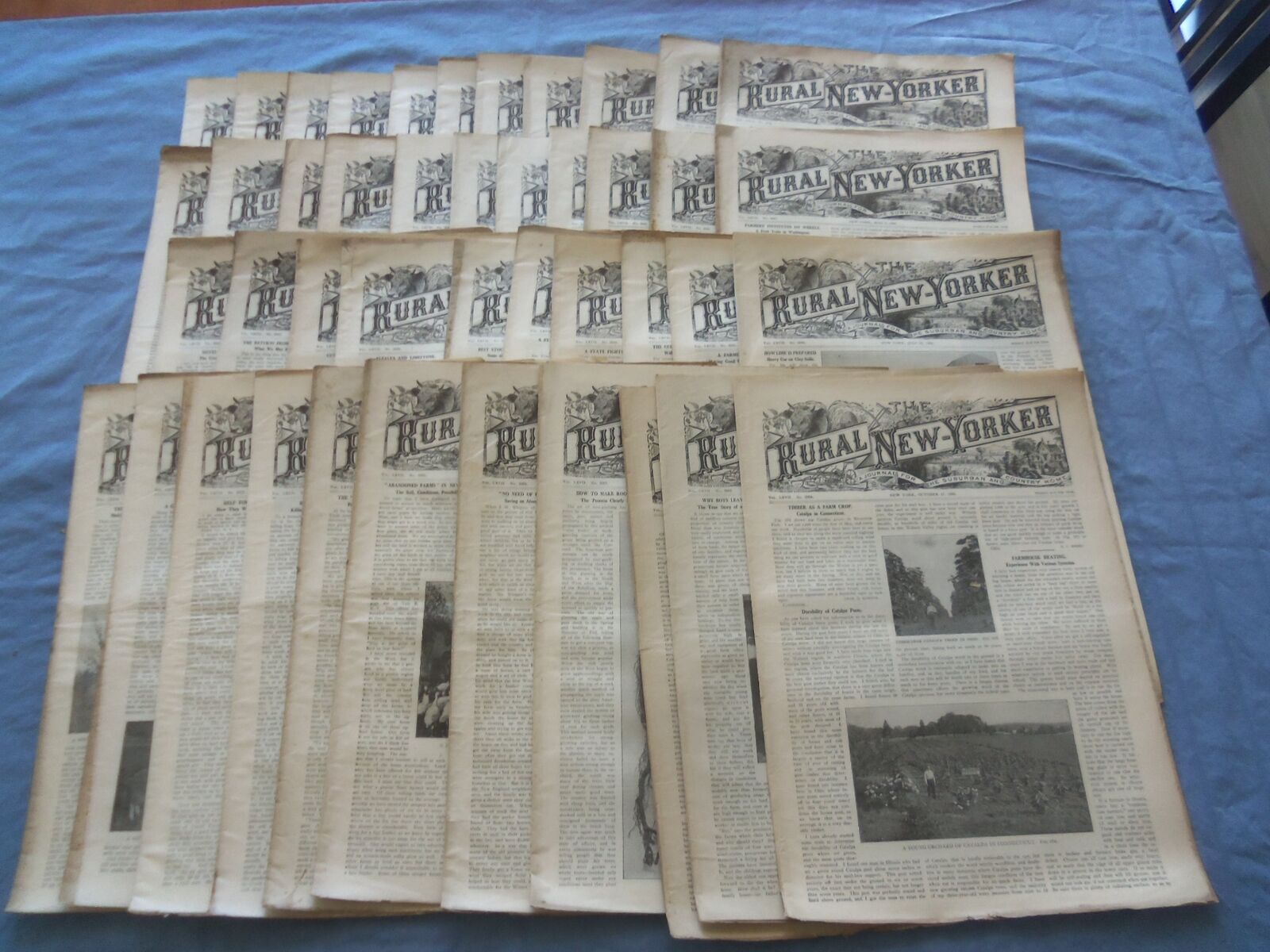 1908 RURAL NEW-YORKER NEWSPAPER - LOT OF 43 - NICE ADVERTISEMENTS - NP 8411