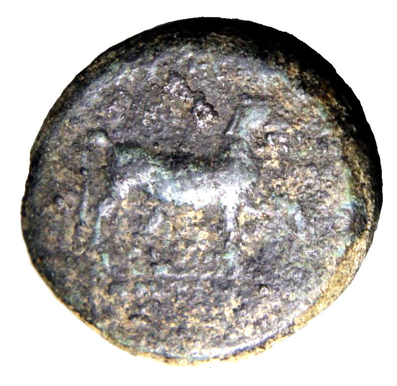 Seleucid Empire NONE ONLINE Butting Horse Rare Authentic Ancient Greek Coin