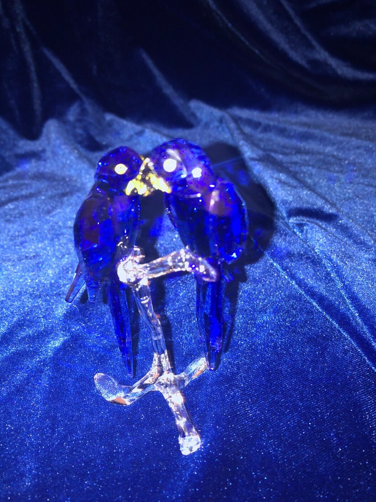 2014 Swarovski Crystal Hyacinth Macaws Blue 5004730 SCS 2014