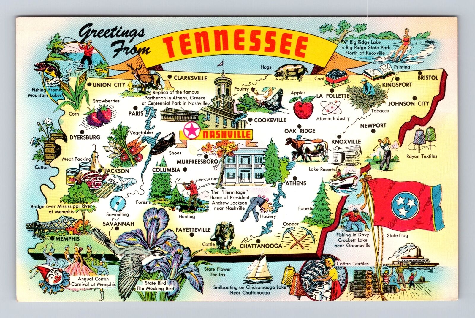 Greetings From Tennessee, State Map, State Flag, State Bird, Vintage Postcard
