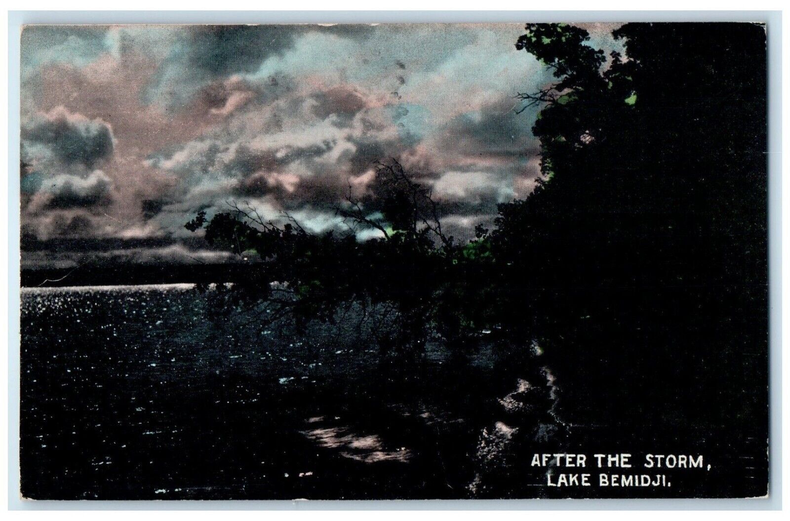 1910 Exterior View Trees After The Storm Lake Bemidji Vintage Antique Postcard