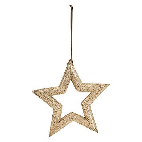 Creative Co-Op Wood Ornament with Leather Hanger Stars, Silver Finish