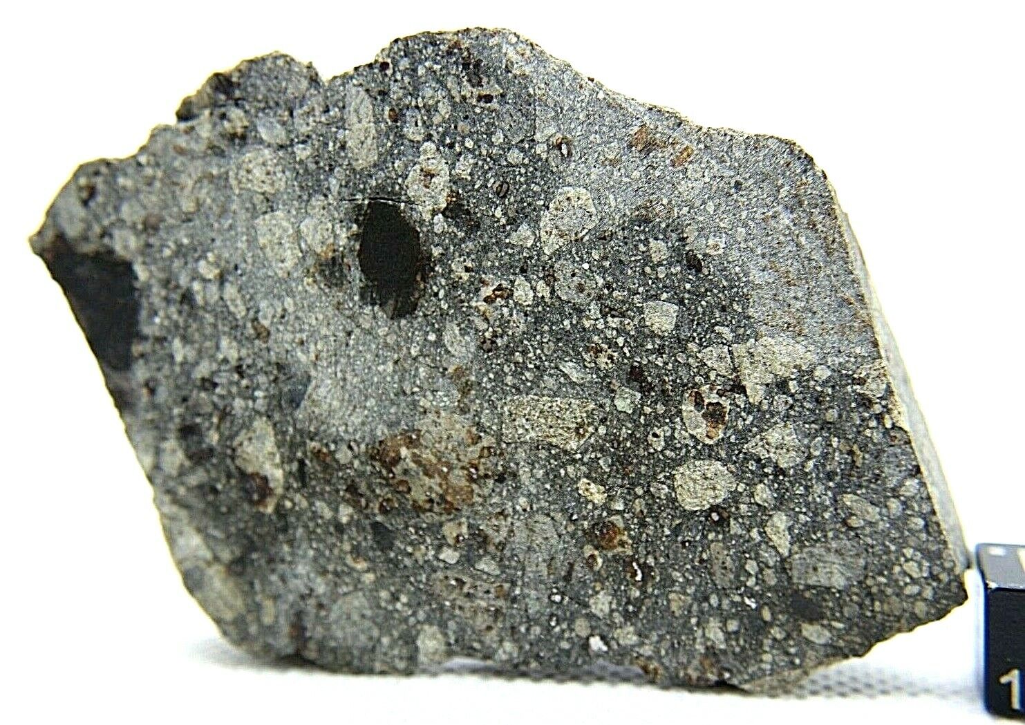 NWA 14456 H6 CHONDRITE METEORITE 66 gram,  fresh meteorite.