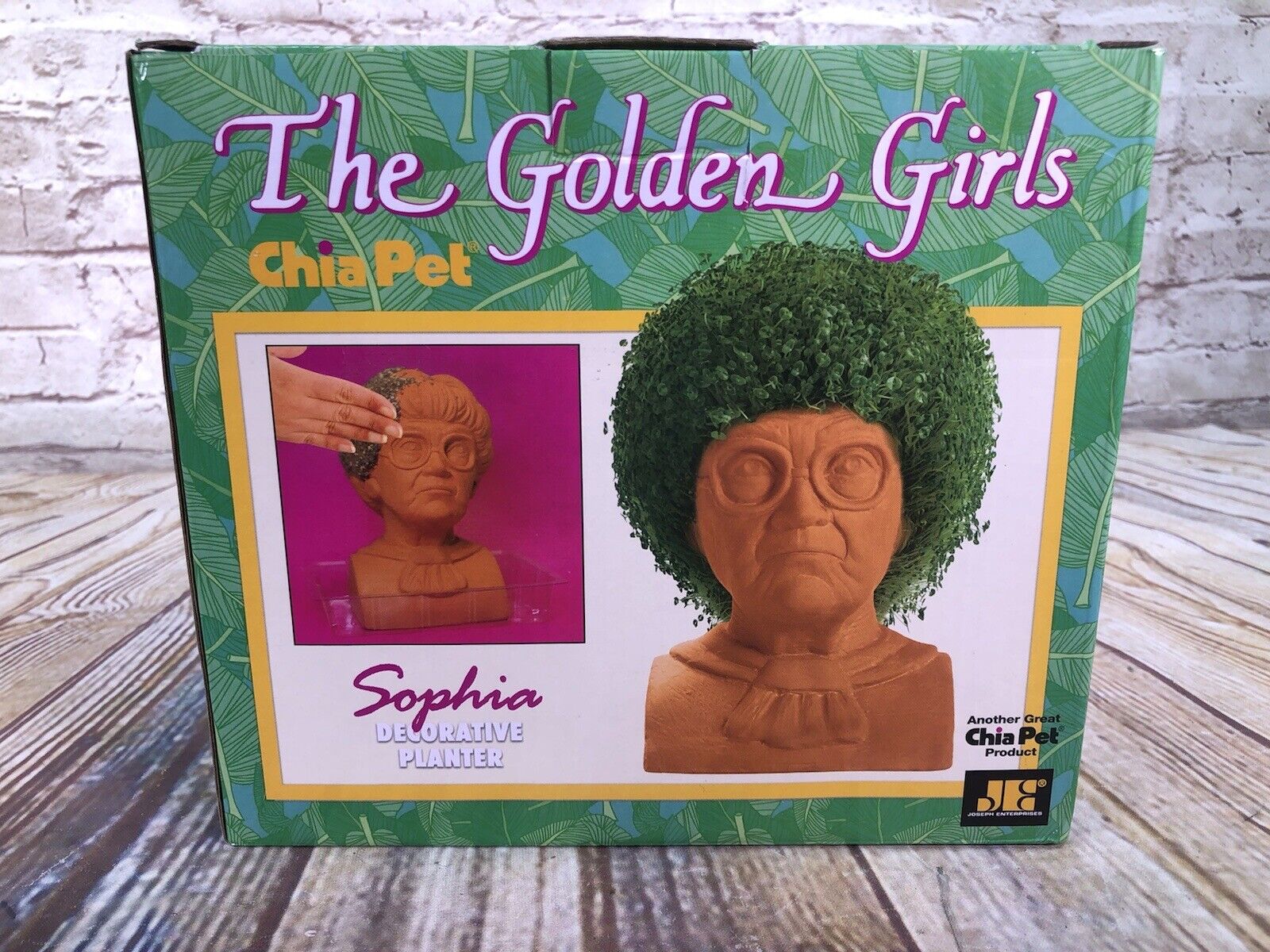 NEW Chia Pet The Golden Girls - Sophia Decorative Pottery Planter