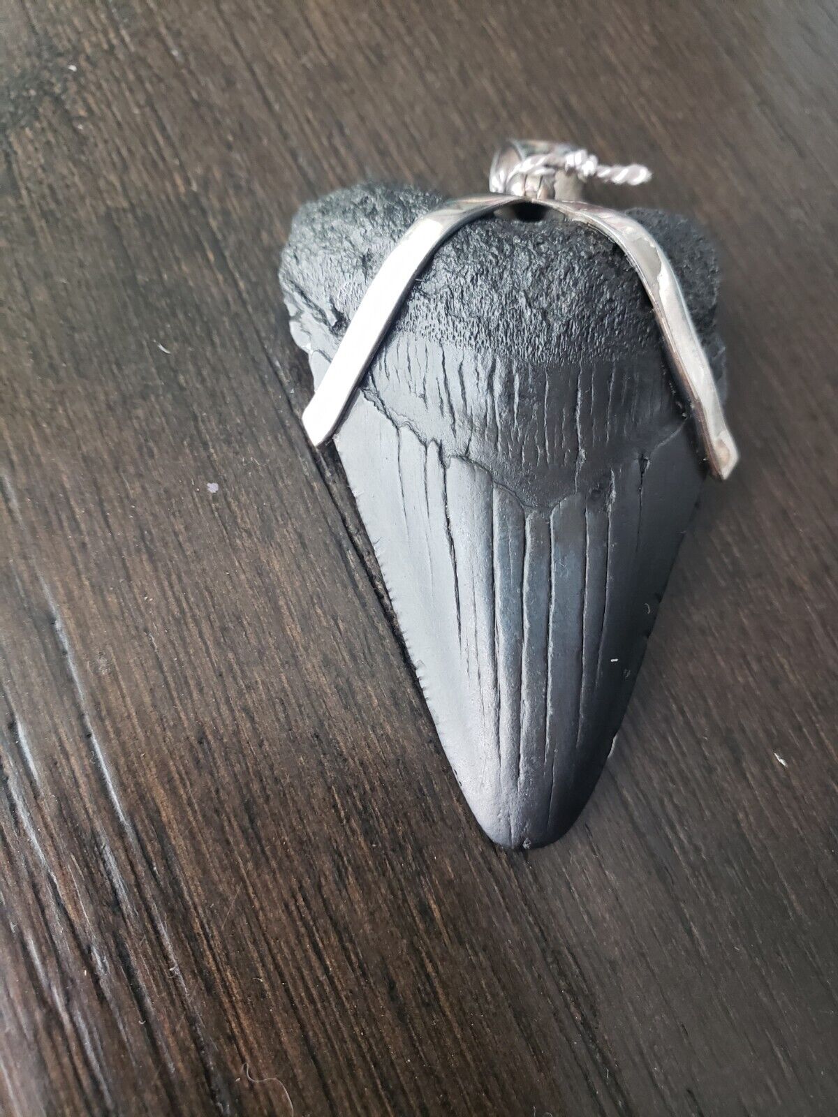Megalodon shark tooth necklace 2 1/8\