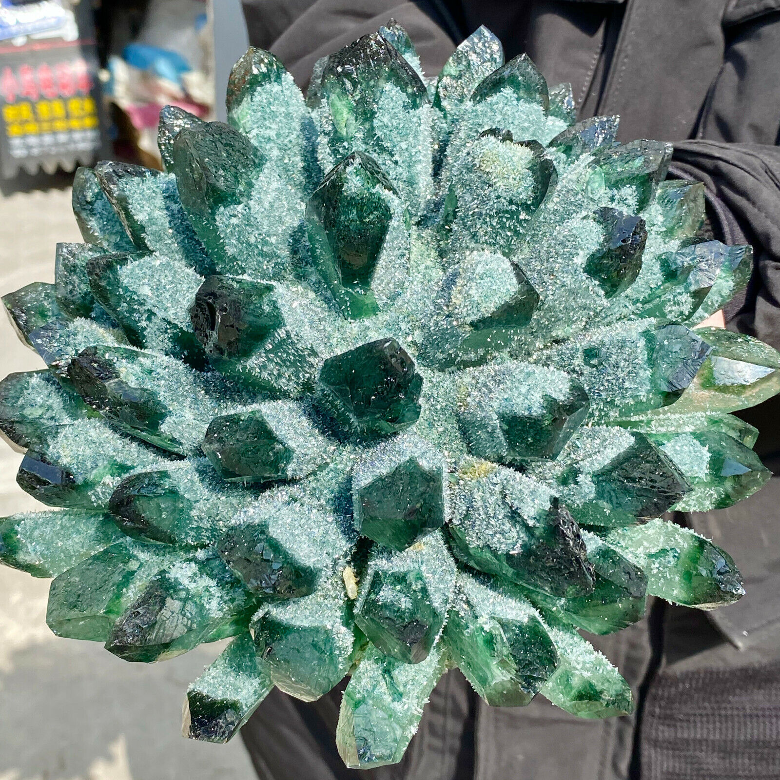6.82LB New Find Green Phantom Quartz Crystal Cluster Mineral Specimen Healing.
