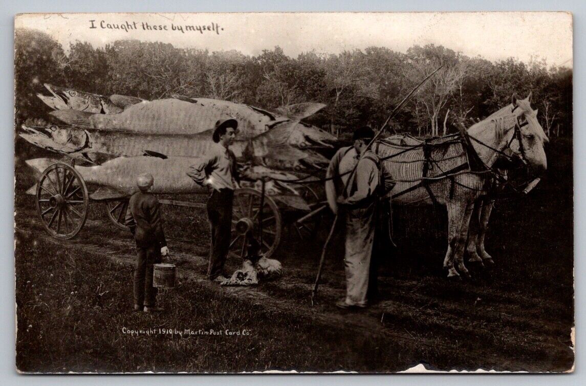 Exaggeration RPPC Postcard Martin Large Fish On Horse Drawn Wagon Two Men Boy