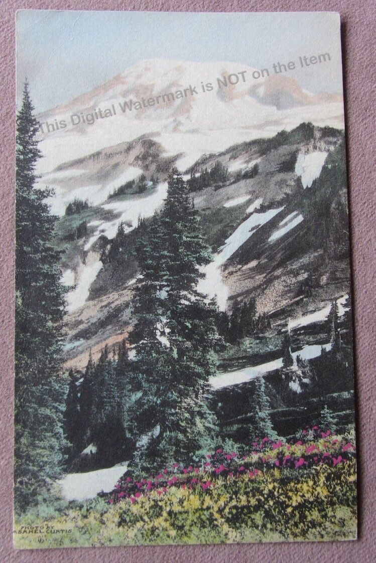 Signed Asahel Curtis Hand Tinted Photo Mt. Rainier from Paradise Park 1920s