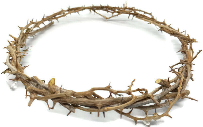 Crown Of Thorns Jerusalem Hand Made in The Holy Land Jesus Blessed 