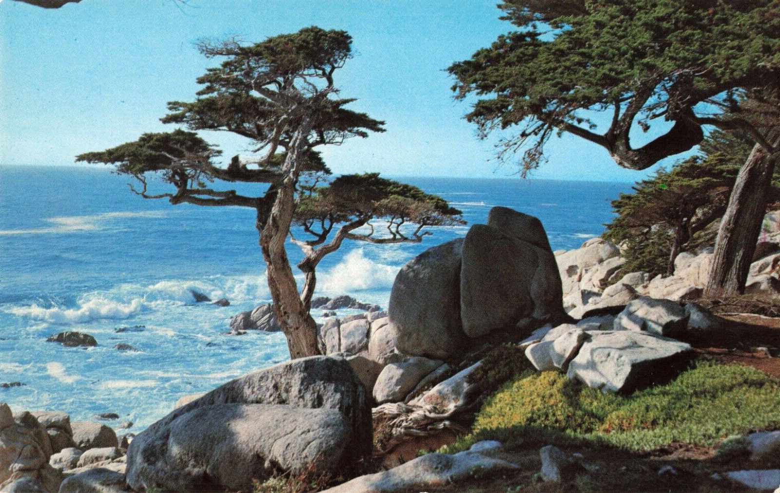 Pebble Beach CA California, Pescadero Point Cypress, 17 Mile Dr Vintage Postcard