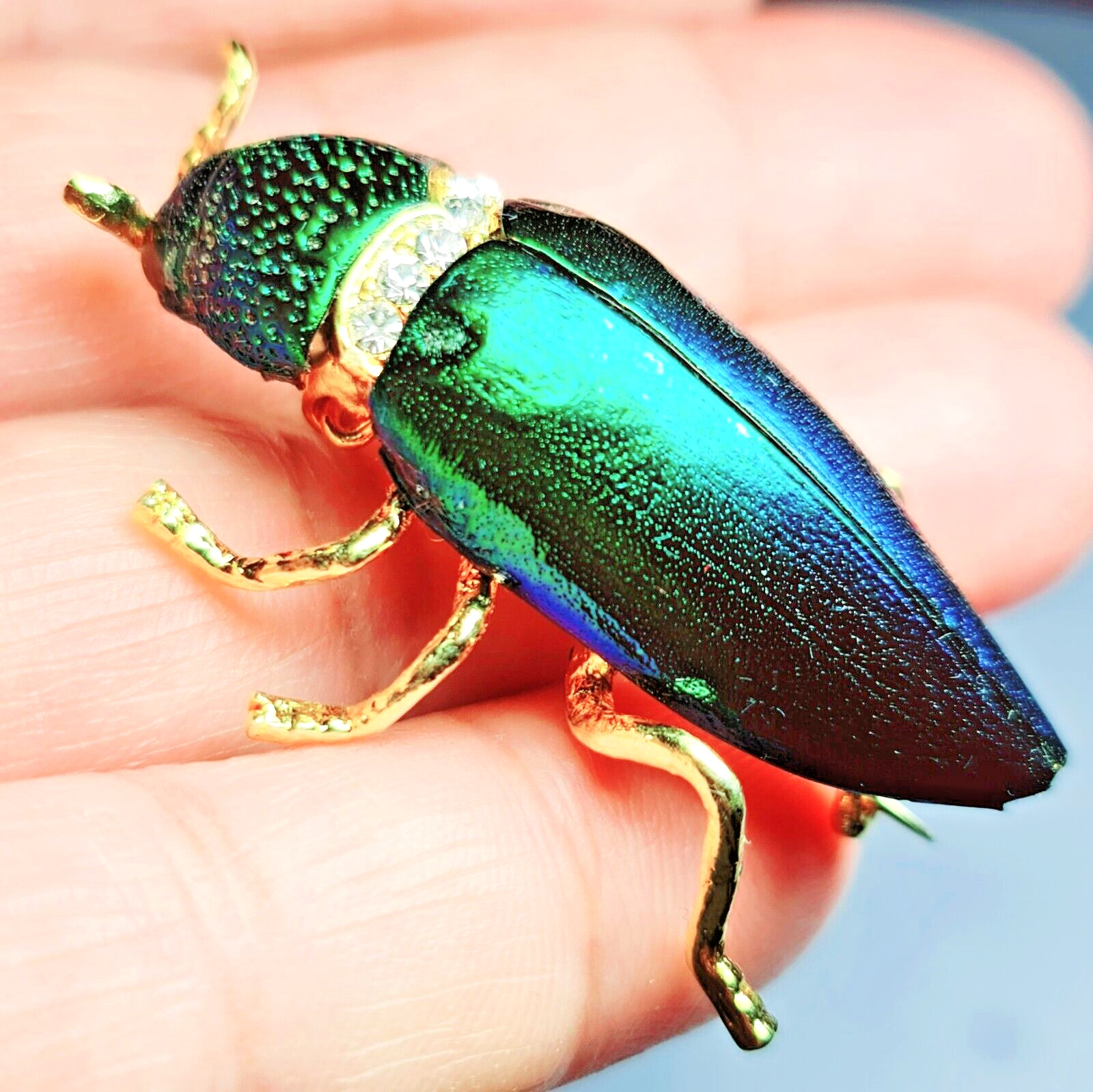 Thai Handcrafted Green Elytra Beetle Pin Brooch Real Sternocera Aequisignata Bug