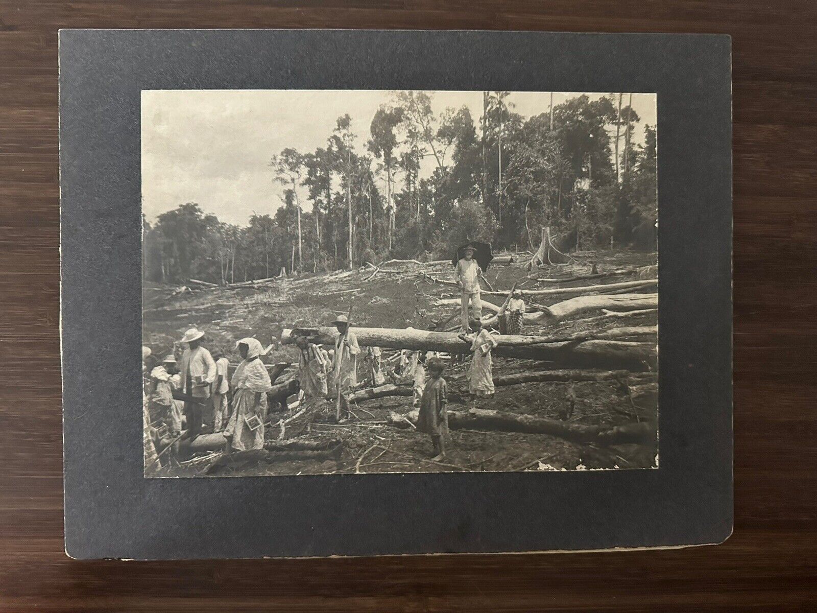 Antique mounted photo White missionary native hurricane damage? 10 x 13 trees