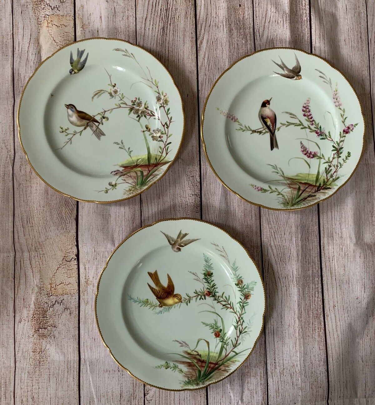 Minton Hand Painted Cabinet Plates Birds Insects Berries Set Of Three