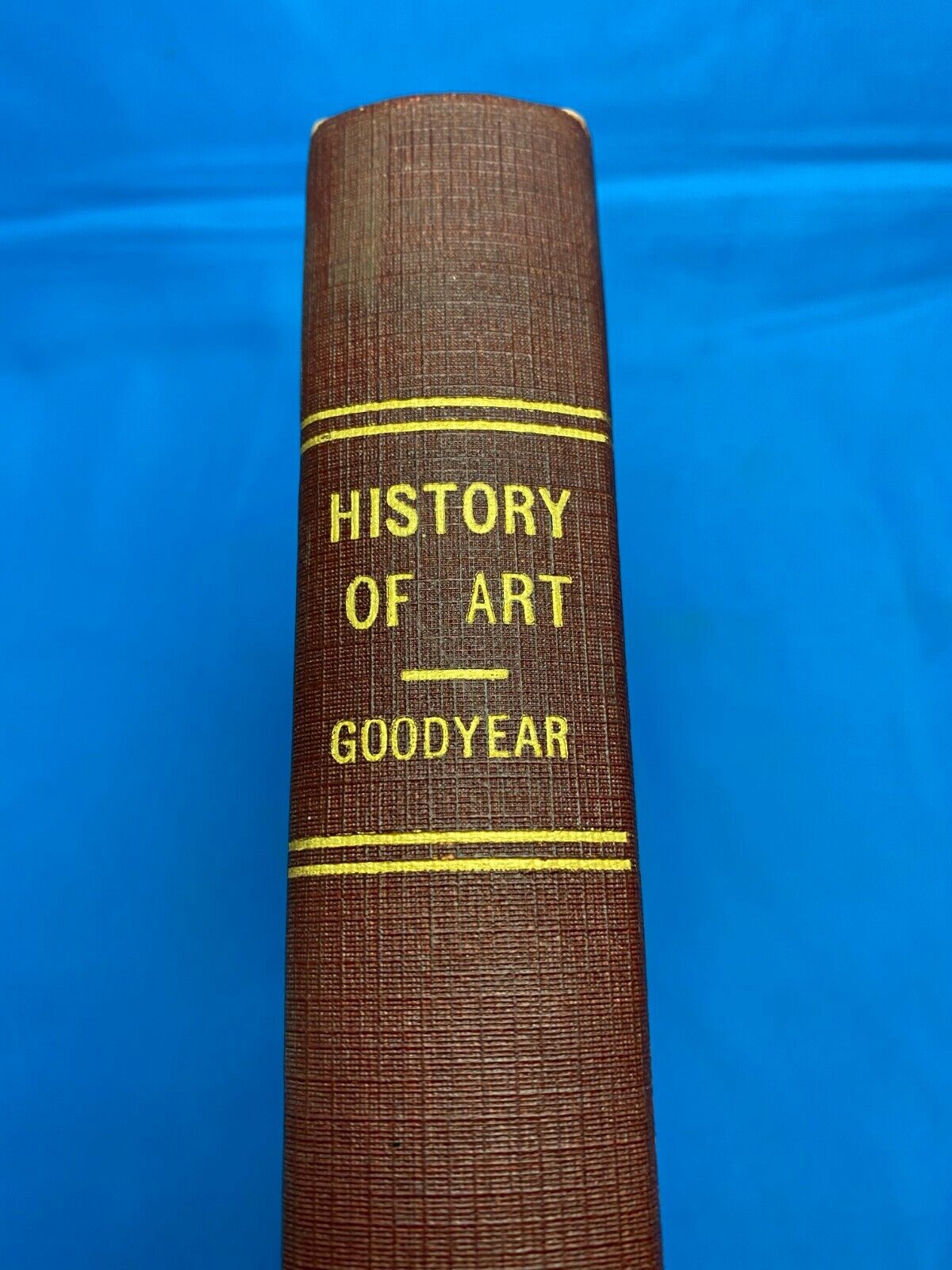 1896 HISTORY OF ART by William H Goodyear f Classes, Student & Tourist in Europe