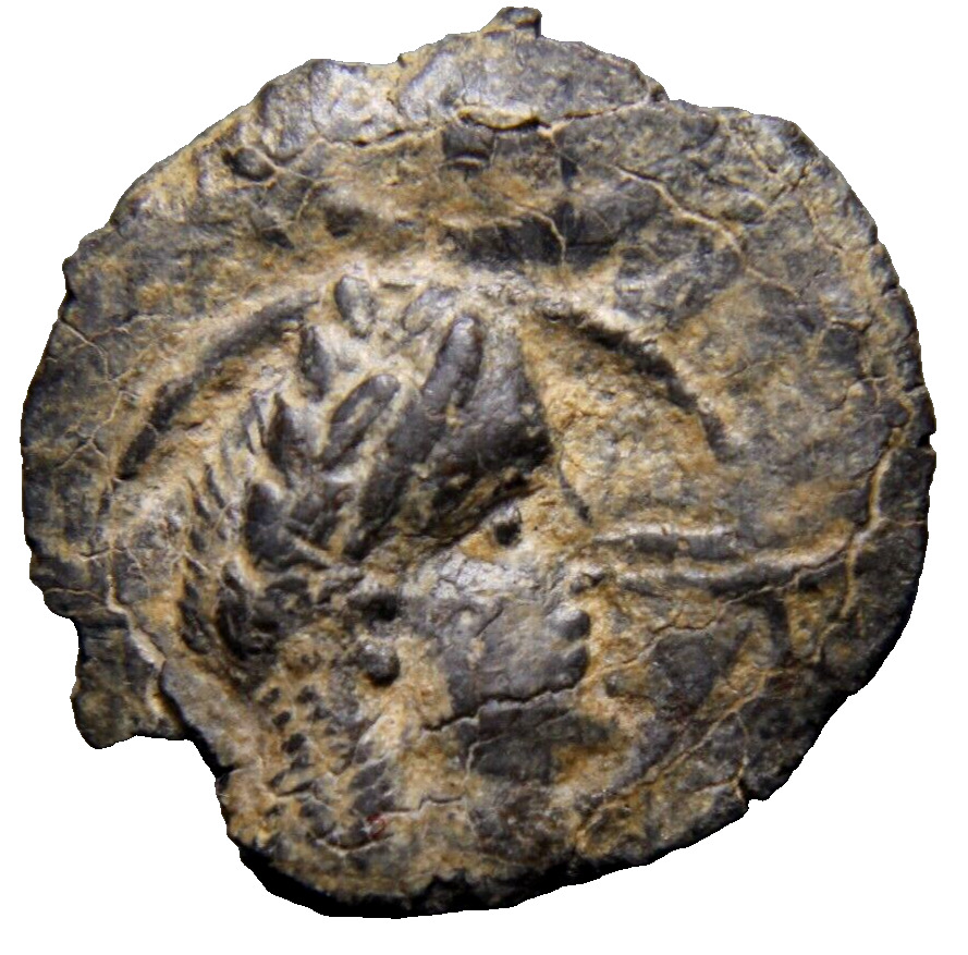 NABATAEA. Aretas IV. 9 BC-AD 40. PB Token Seal Bull Head VERY RARE Greek Coin