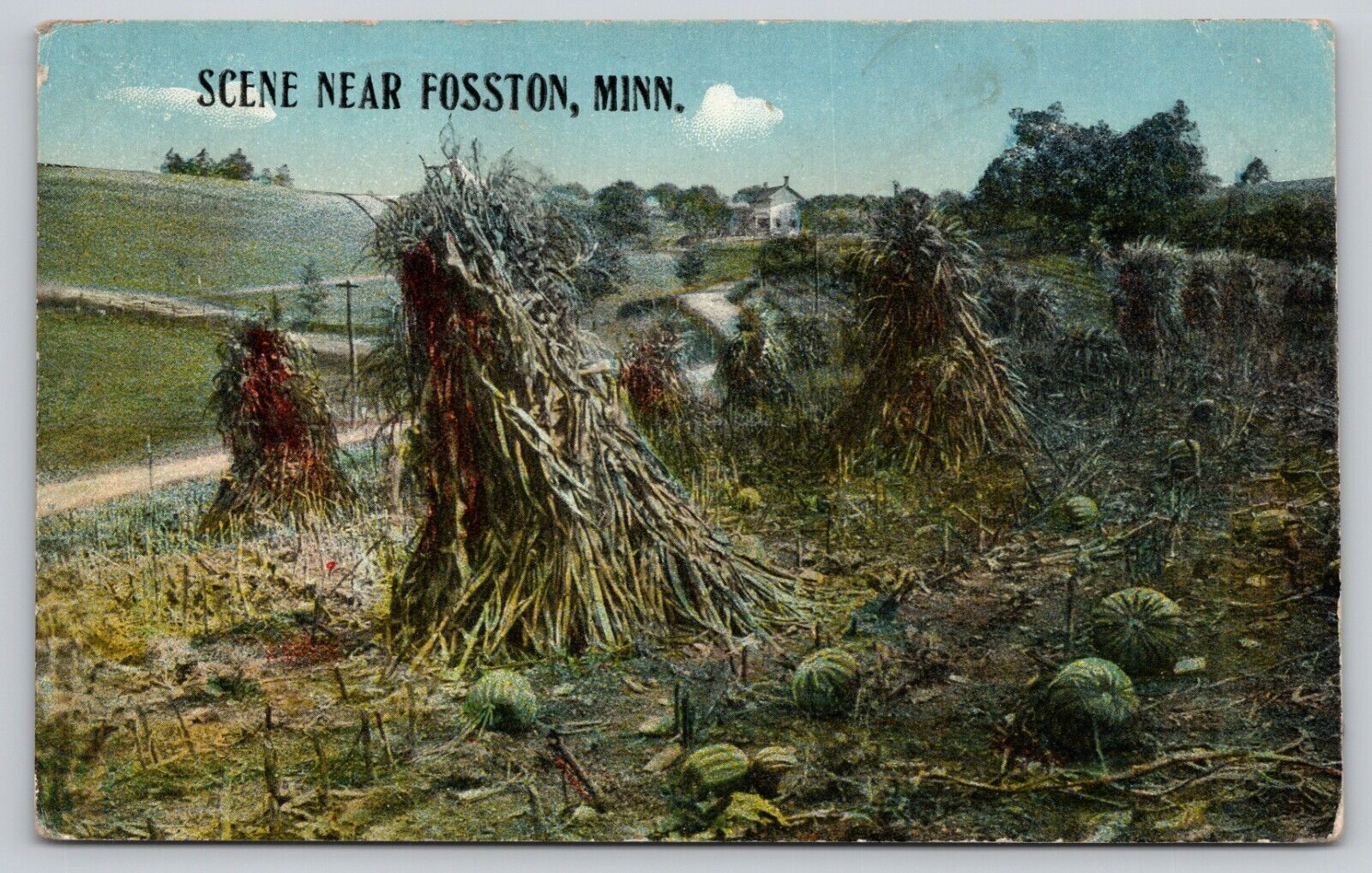 Postcard MN Fosston Scene Near Fosston Minnesota