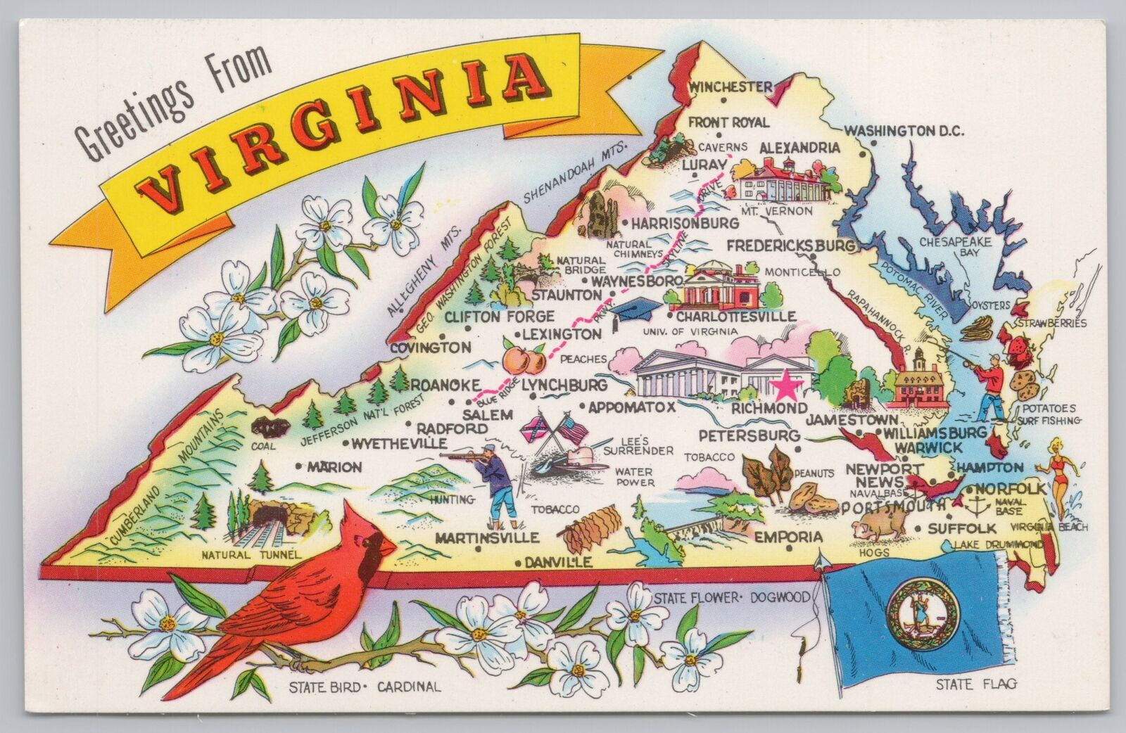 Virginia State Map~Winchester~Suffolk~Marion~Clifton Forge~Appomattox~Lexington
