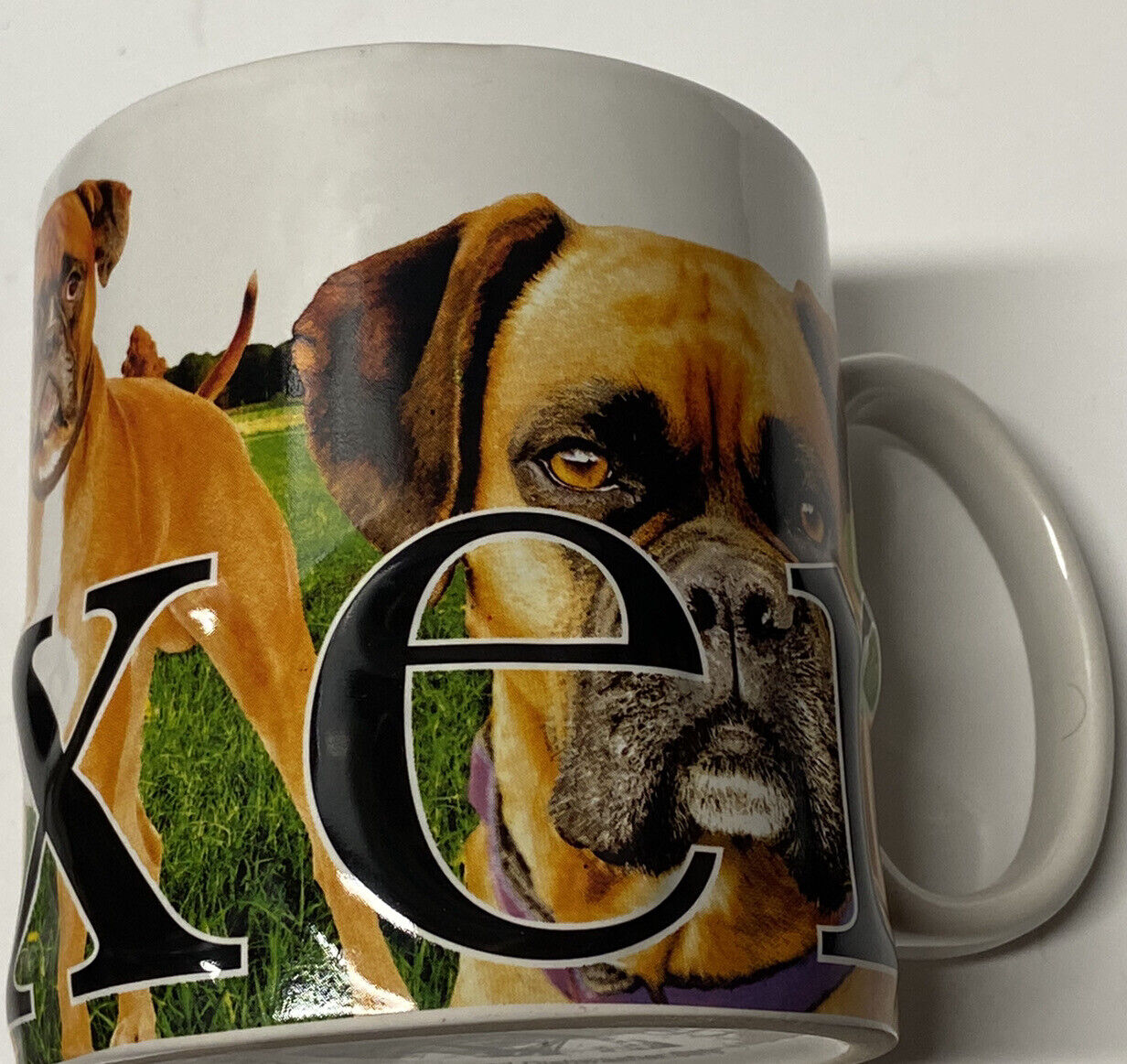 Nice BOXER Dog 3D High End Large MINTY Coffee Mug 2014 Americaware