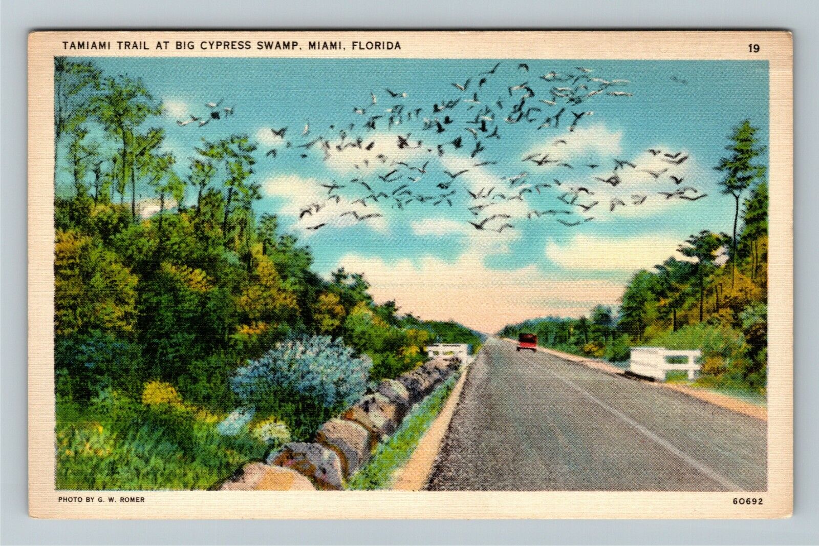 Miami FL-Florida, Tropical Tamiami Trail at Big Cypress Swamp, Vintage Postcard