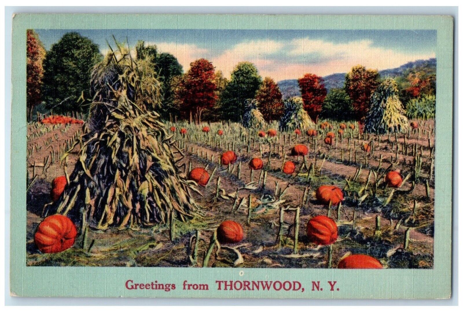 Thornwood New York NY Postcard Greetings Pumpkin Farm Trees 1954 Antique Vintage