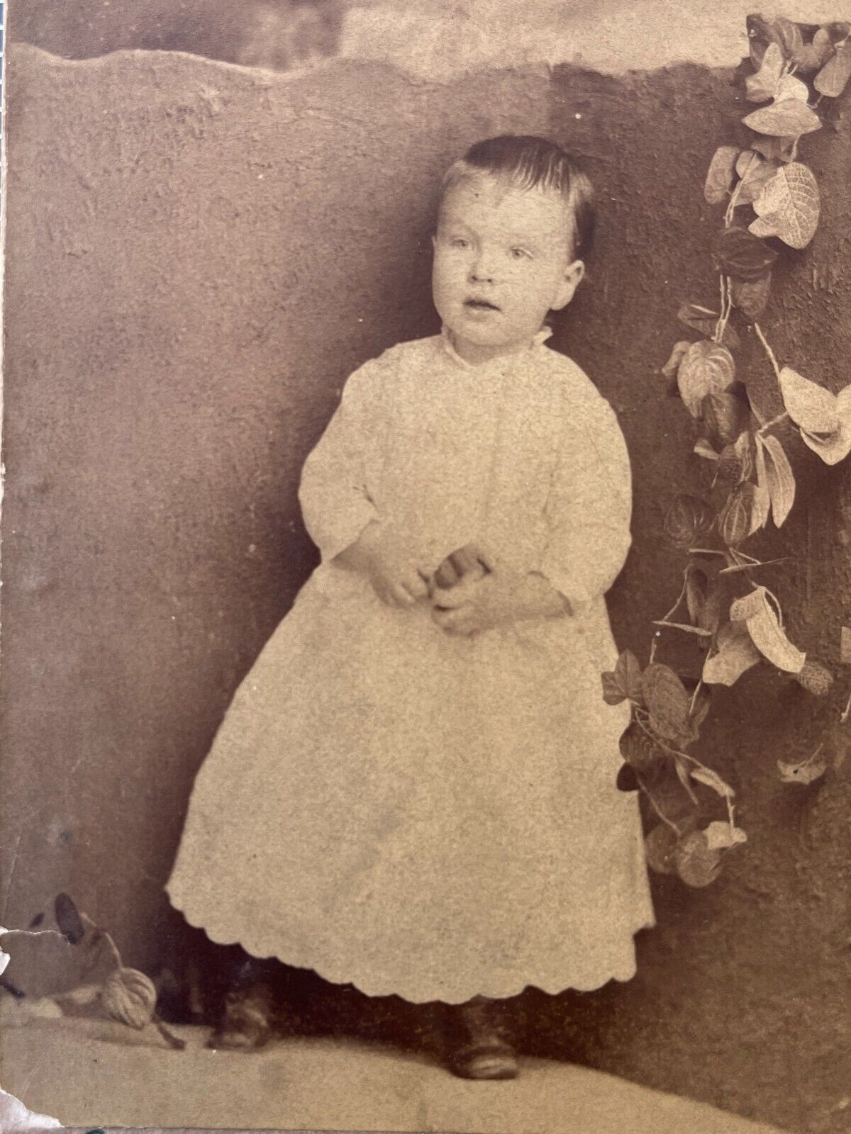 Philadelphia Cabinet Photo Henry Leaman Young Boy in Dress Frock 1890