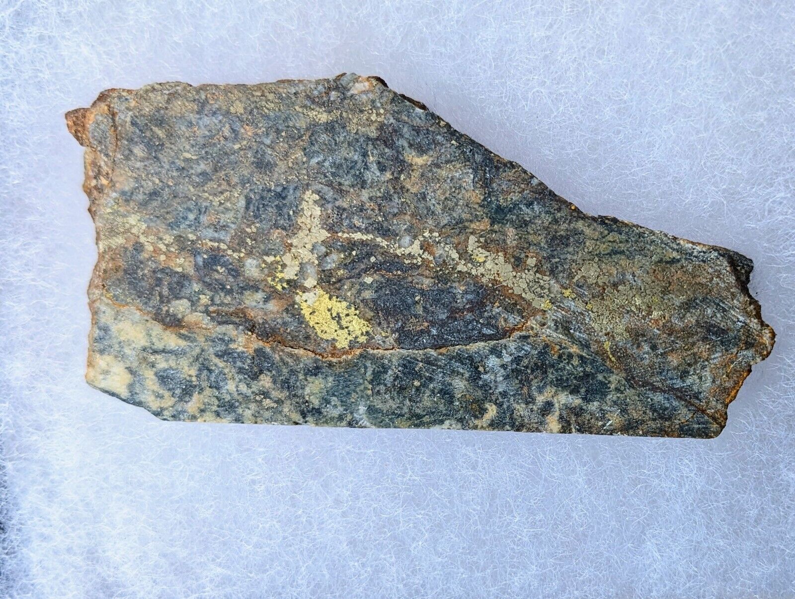 Rare Polished Gold Ore Slab from Lake County, Colorado with Tellurides