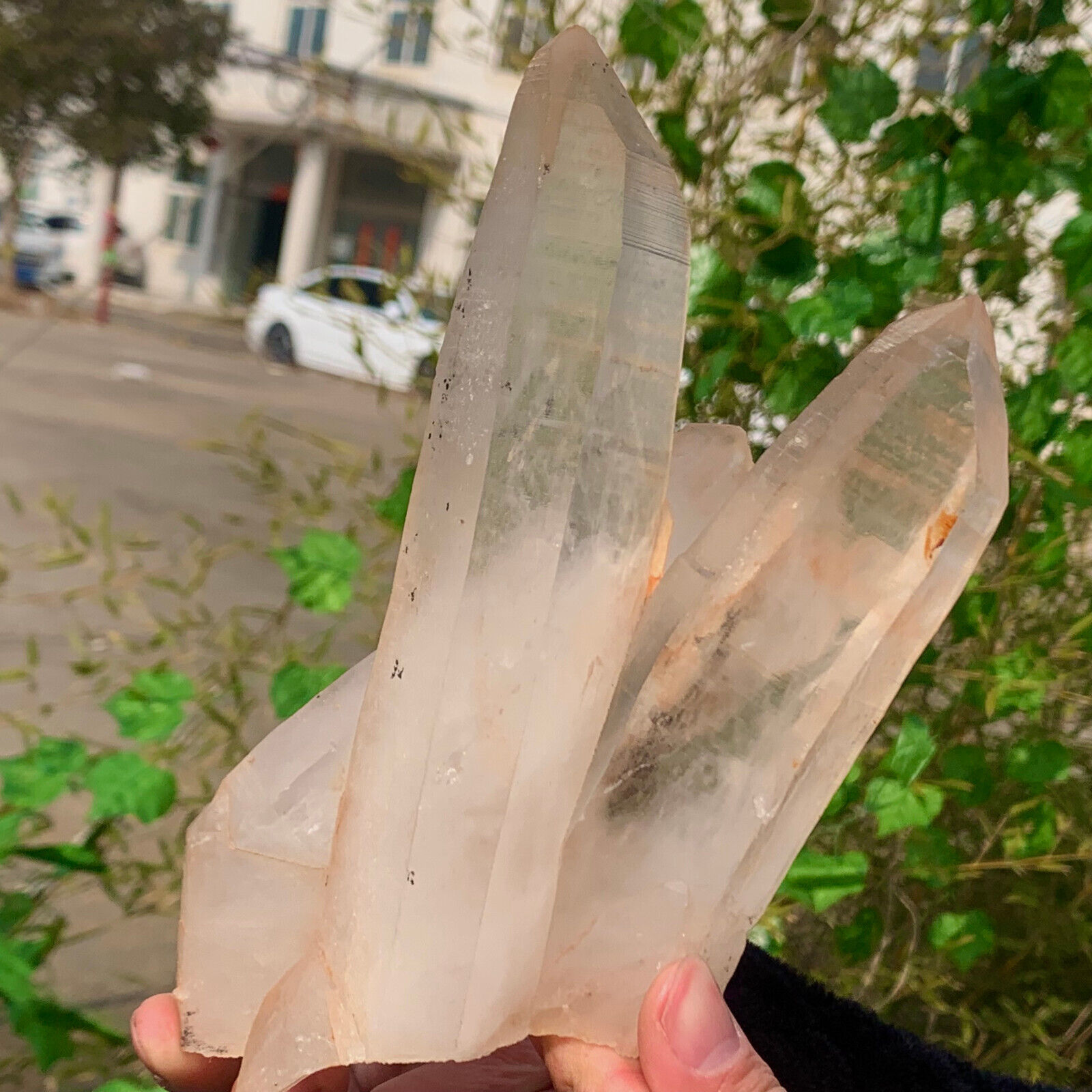 2.54LB A+++Large Natural white Crystal Himalayan quartz cluster /mineralsls