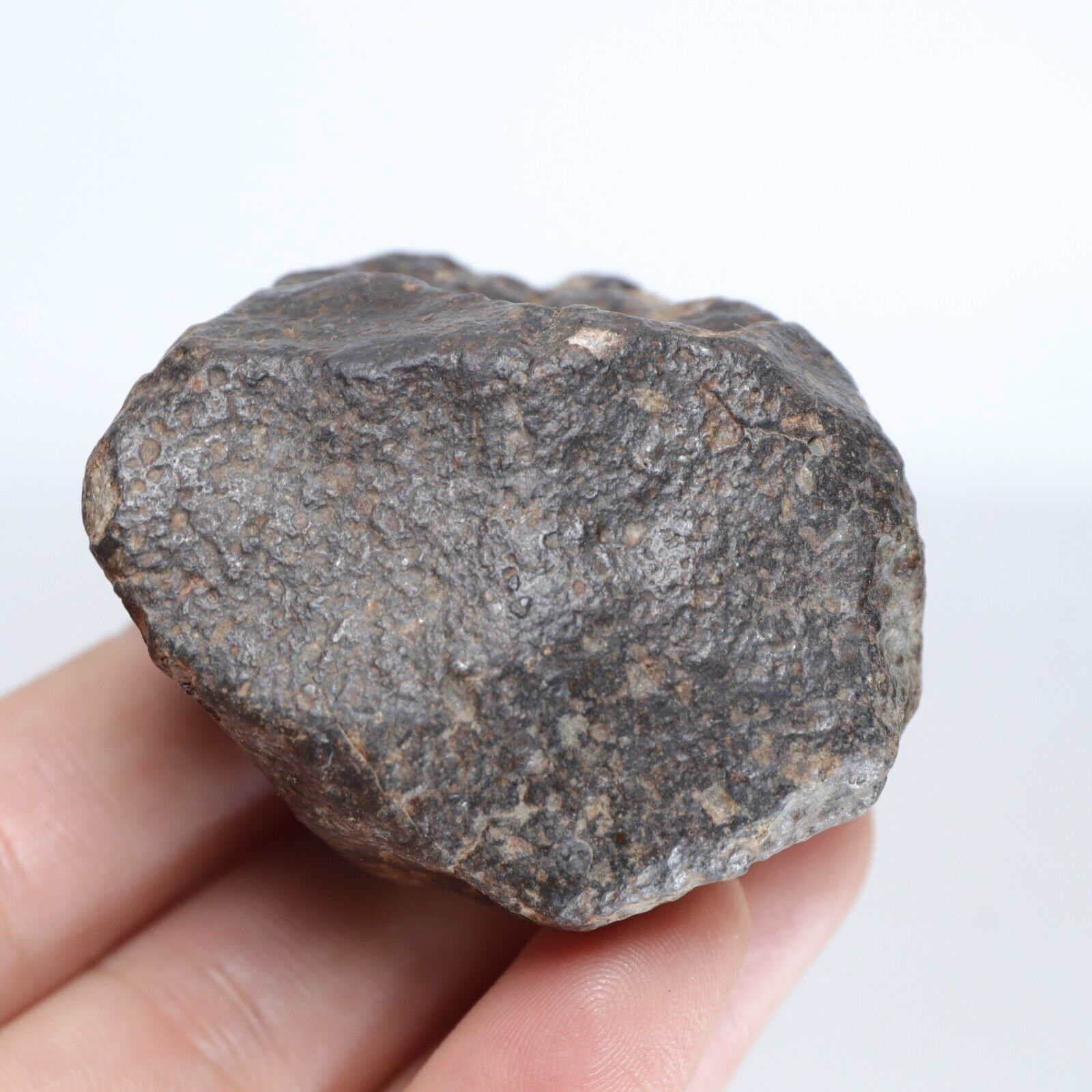 106g NWA Chondrite Meteorite  R1255