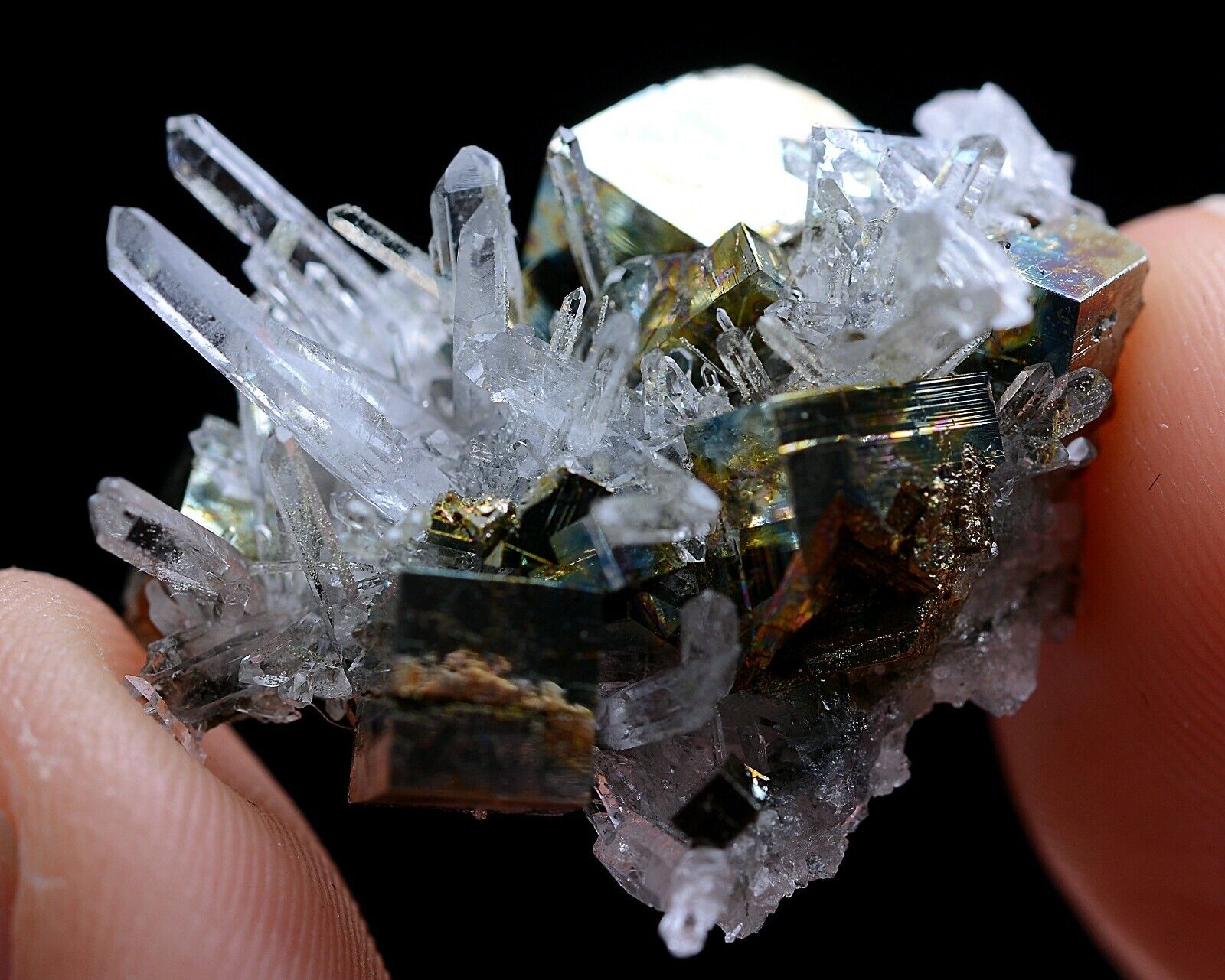 6.2g Natural Rare Complete Crystal Cluster & Pyrite Symbiotic Mineral  Specimen