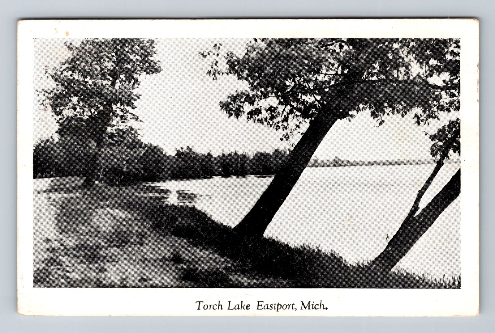 Eastport MI-Michigan, Scenic Views Torch Lake, Antique Vintage c1945 Postcard