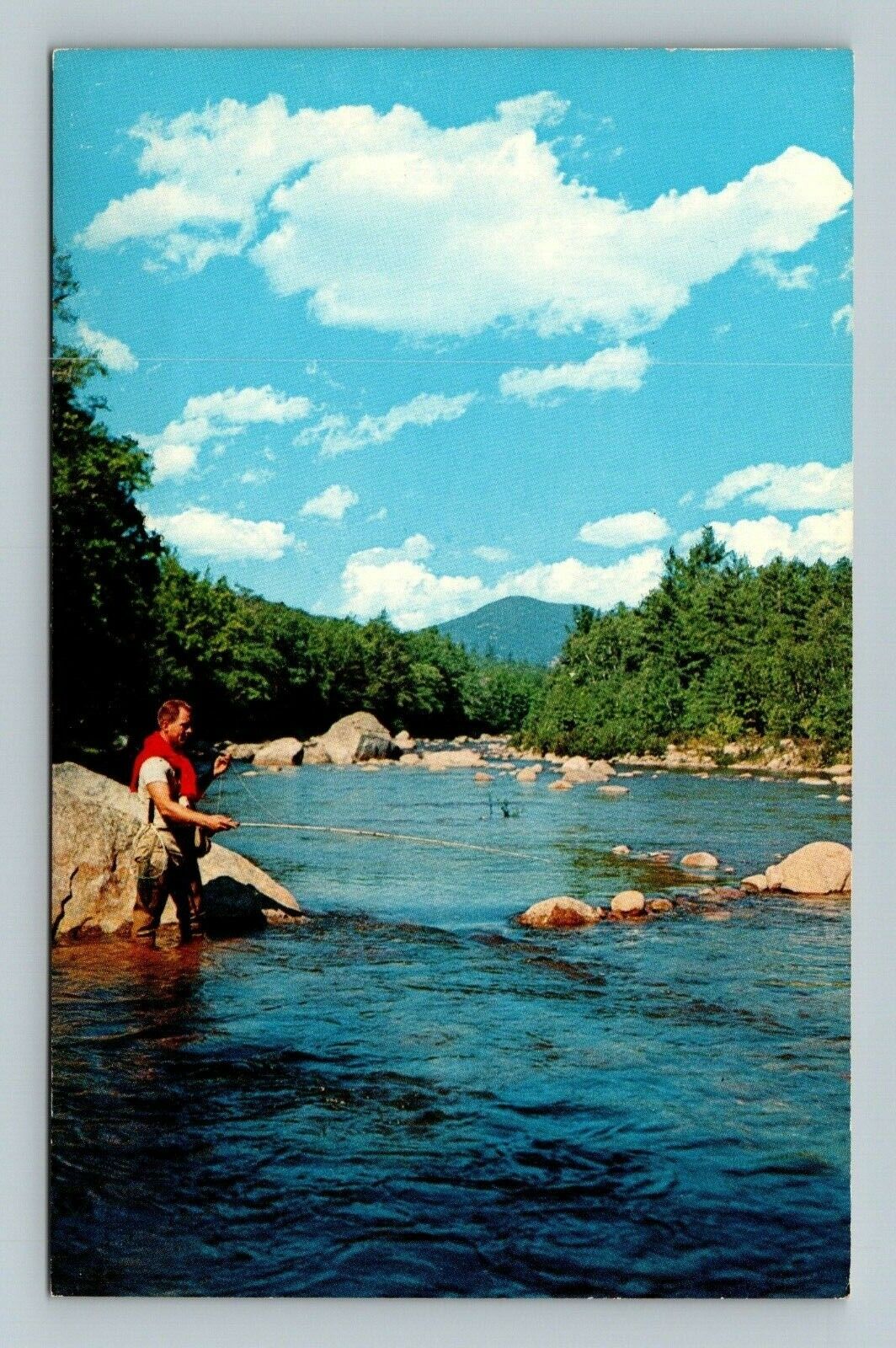 Restful Day Fishing Postcard