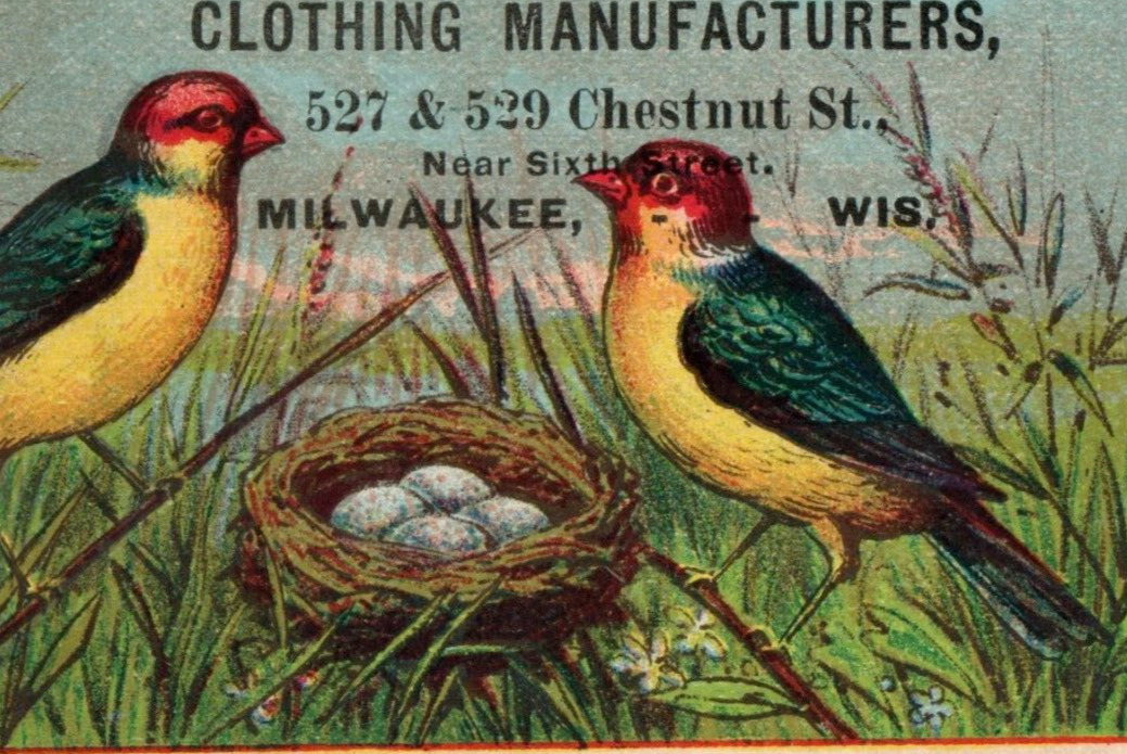 1870s-80s In German & English Gottschalk Bros. Clothing Mfg. Colorful Birds P157