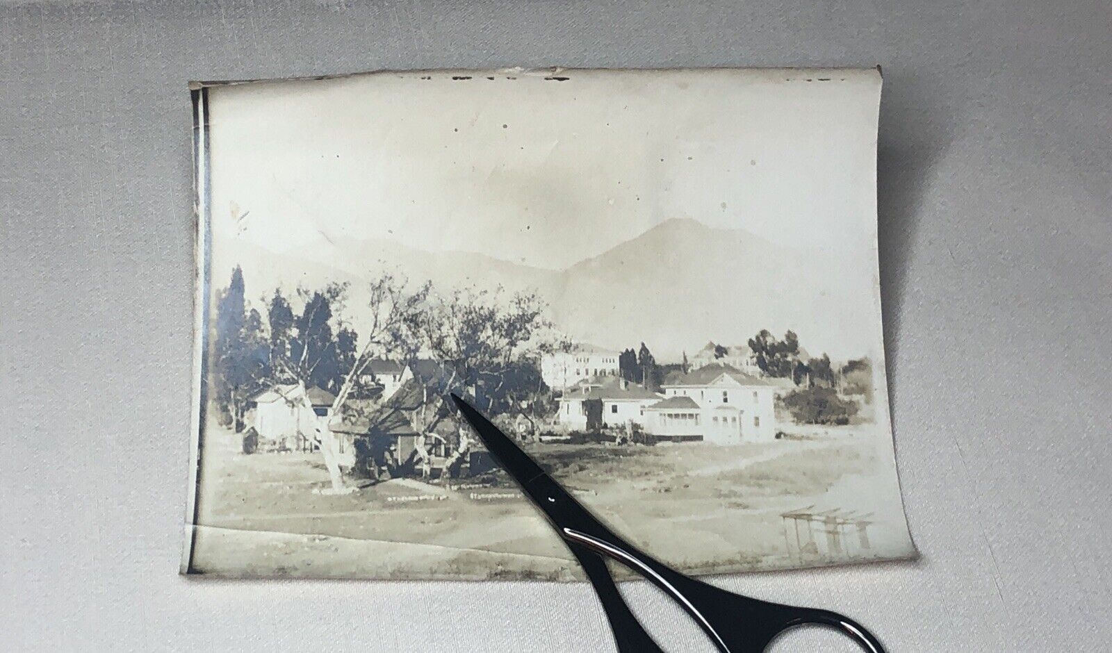 Antique 1902 Pomona College Campus Claremont Calif Early Original Photo