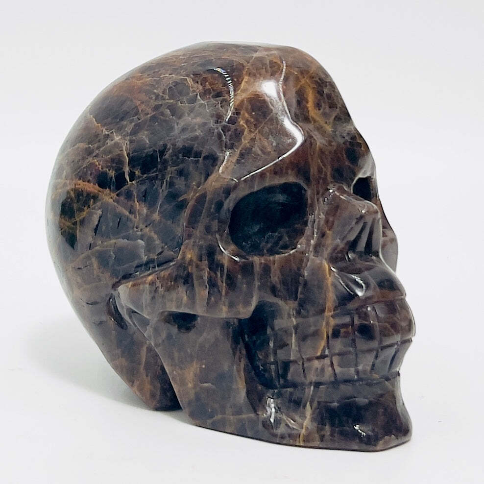 Black Moonstone Skull Healing Crystal Carving 734g