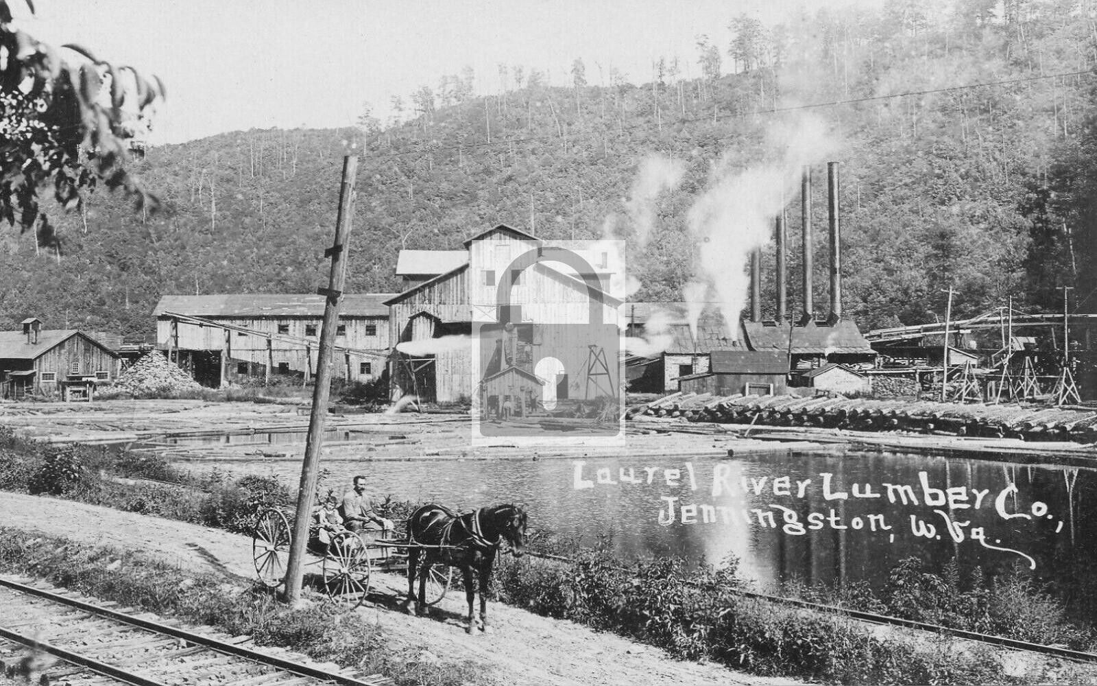 Laurel River Lumber Co Jenningston West Virginia WV Reprint Postcard