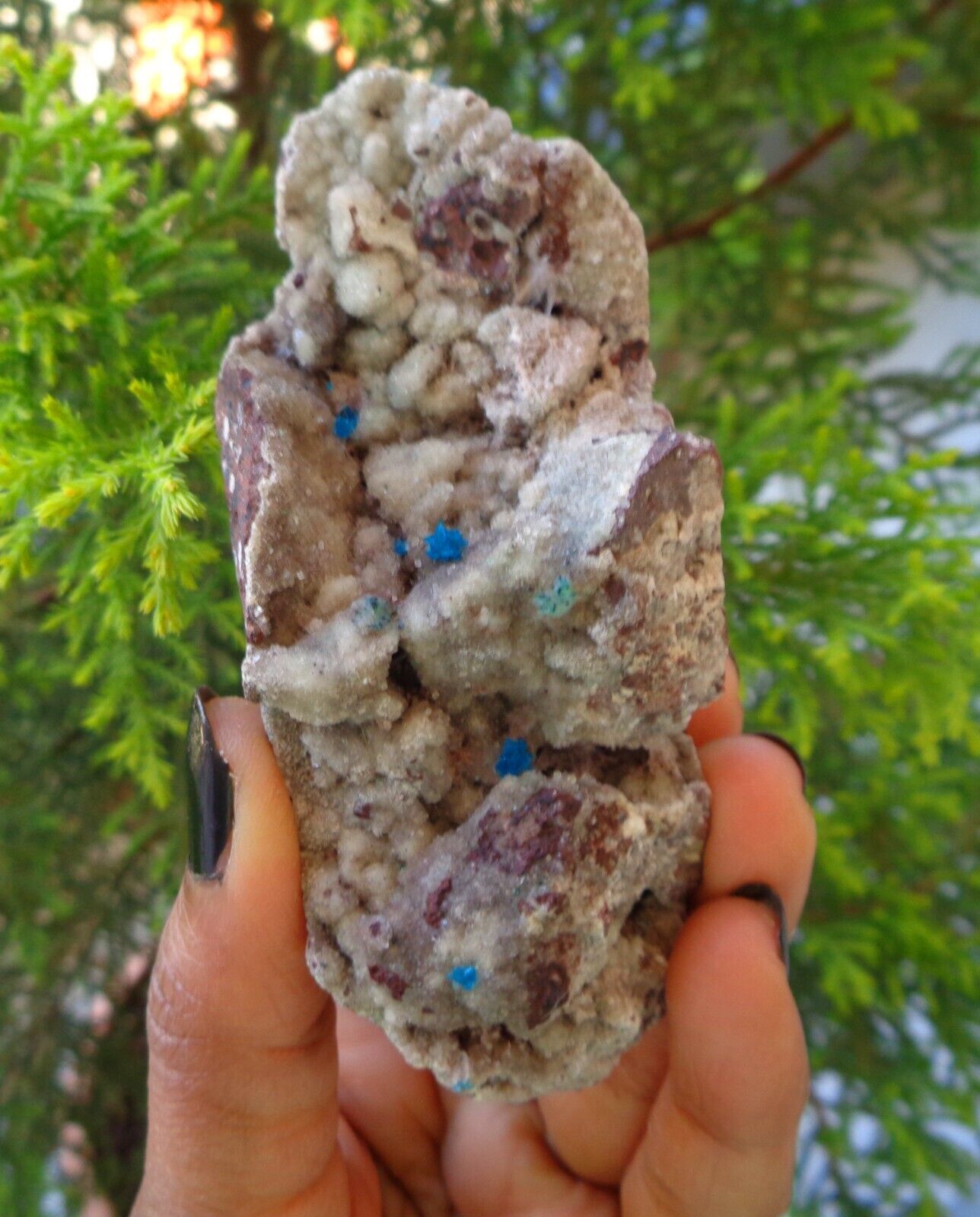 Cavansite On Matrix Minerals Specimen #H16