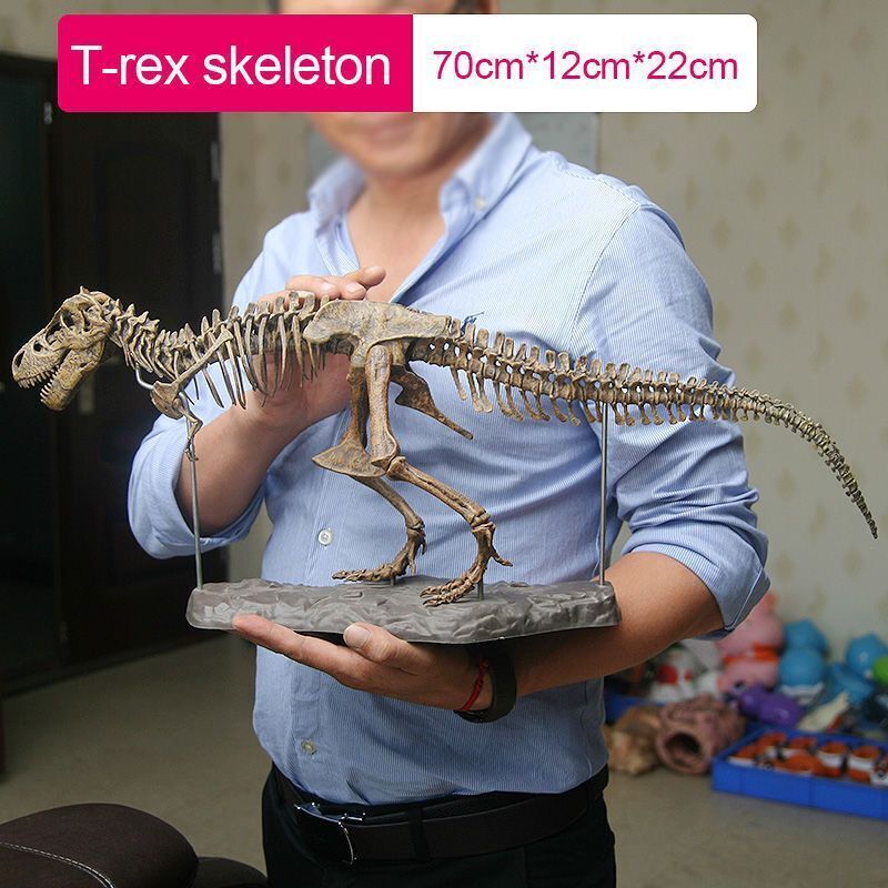 Large Dinosaur Skeleton Ornament Simulation Skeleton Model Jurassic Assembled