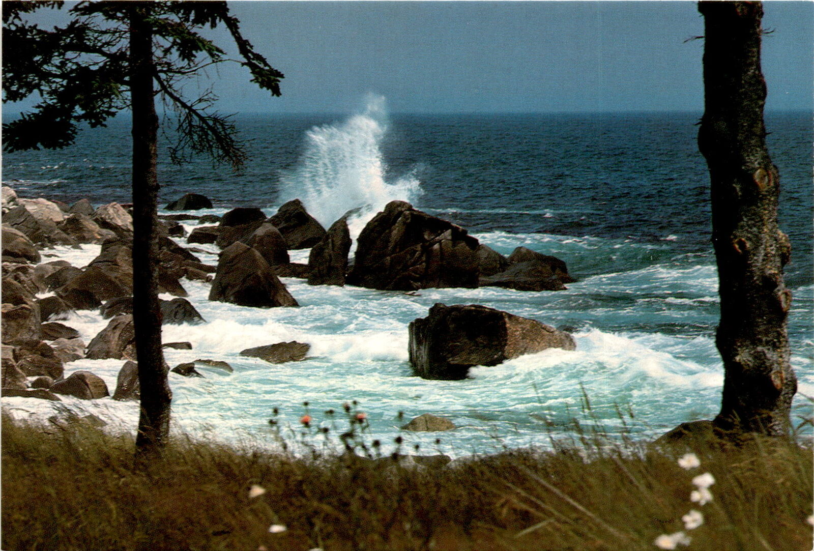 Summerville, Nova Scotia, Canada, eastern shore, beautiful beaches Postcard