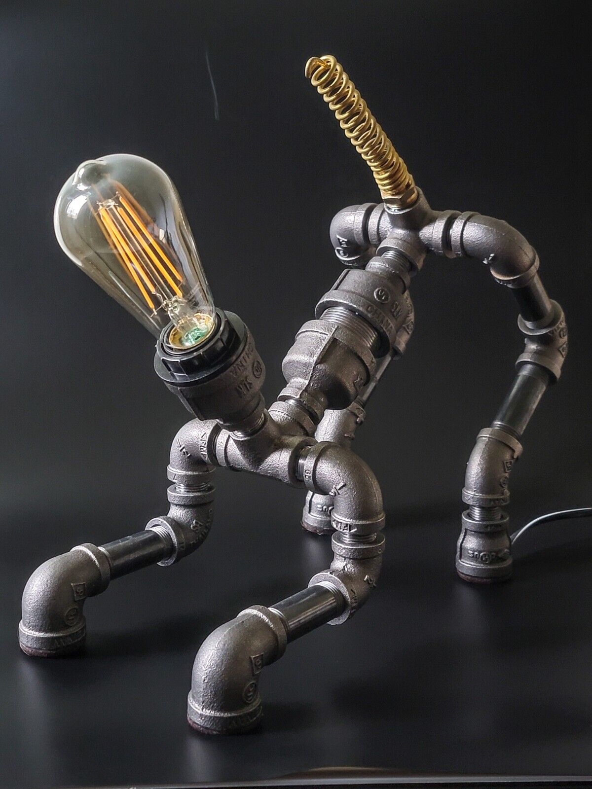 Industrial pipe lamp Steampunk desk lamp Dog industrial lamp from iron fittings