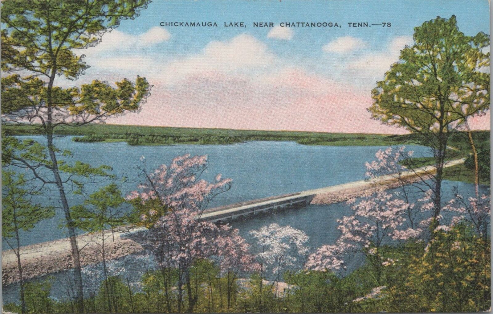 Postcard Chickamauga Lake Near Chattanooga TN 