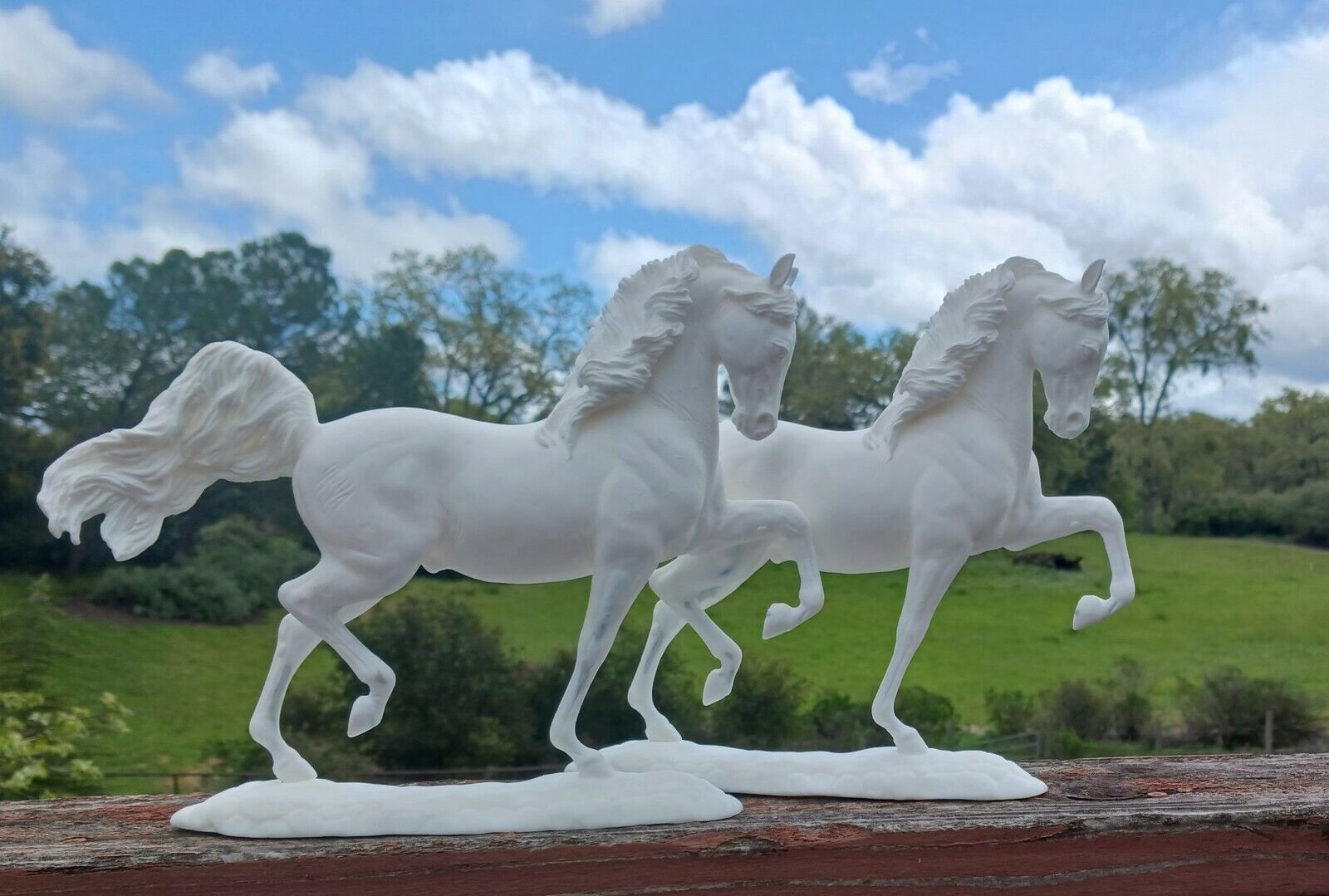 NEW MORGAN Artist Resin Model Horse By Meg Schroeder UNPAINTED 