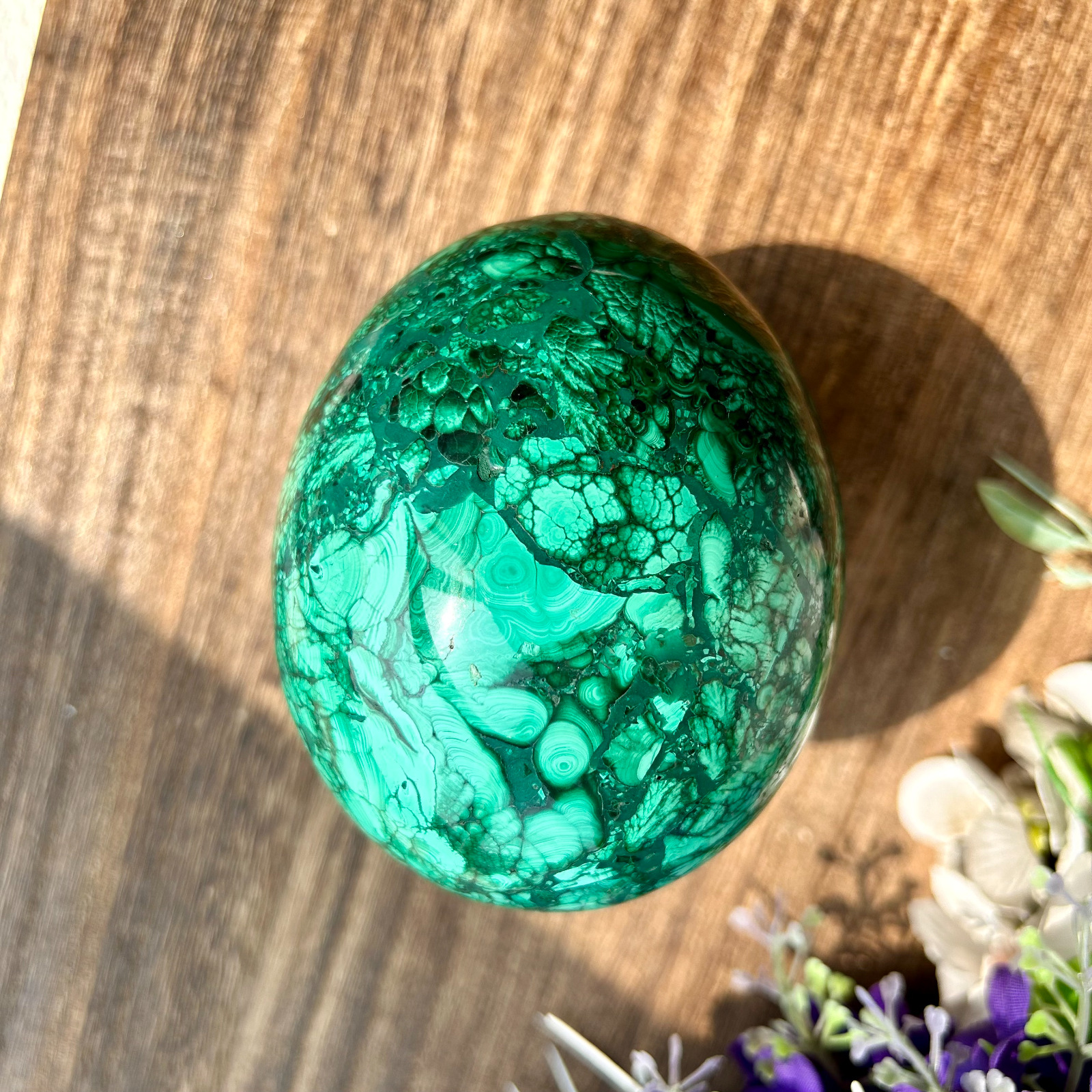 1010g Natural Malachite Egg Shaped Quartz Crystal Display Healing
