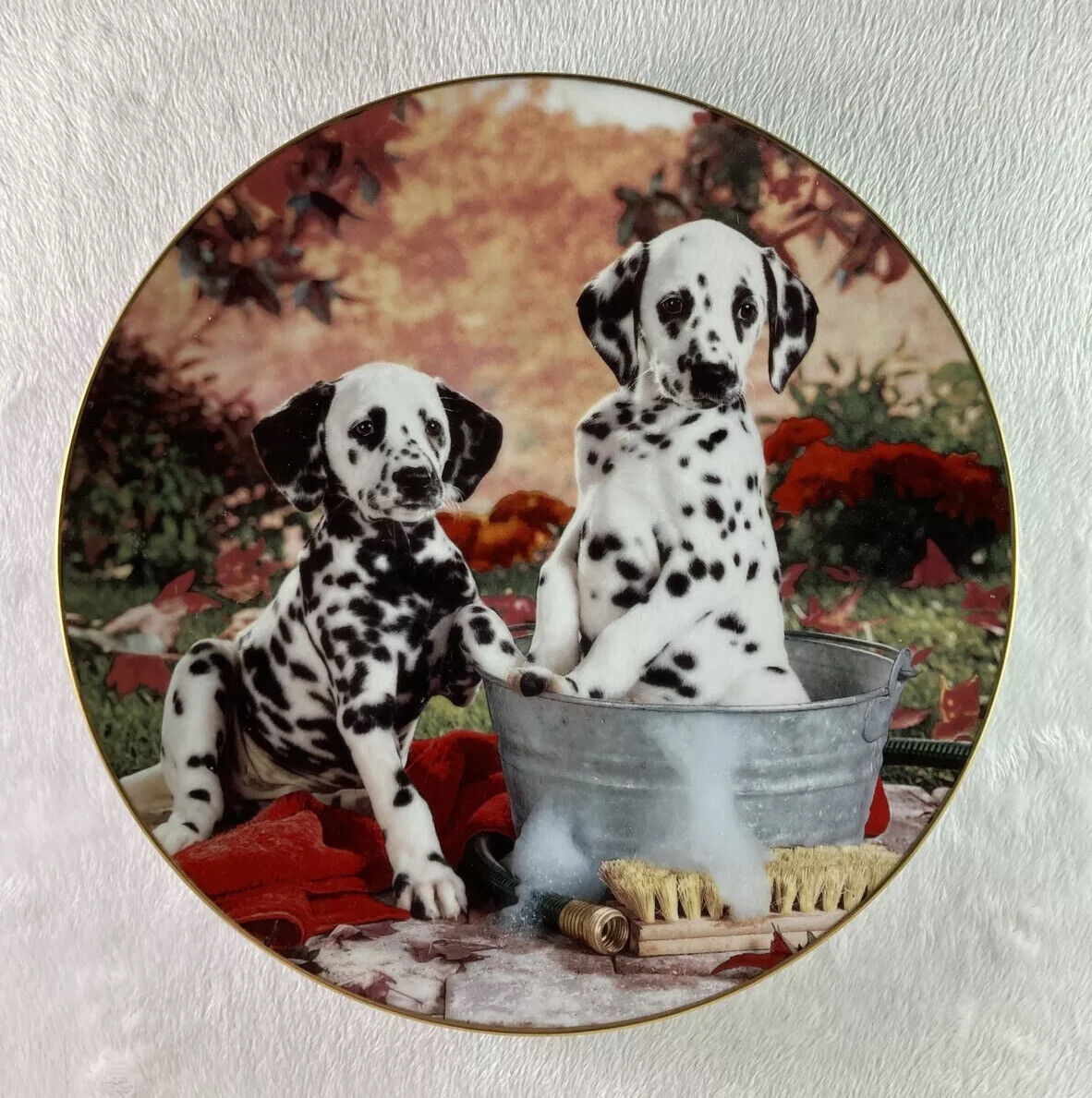 YOU MISSED A SPOT Those Delightful Dalmatians Plate Dog Puppies Having A Bath