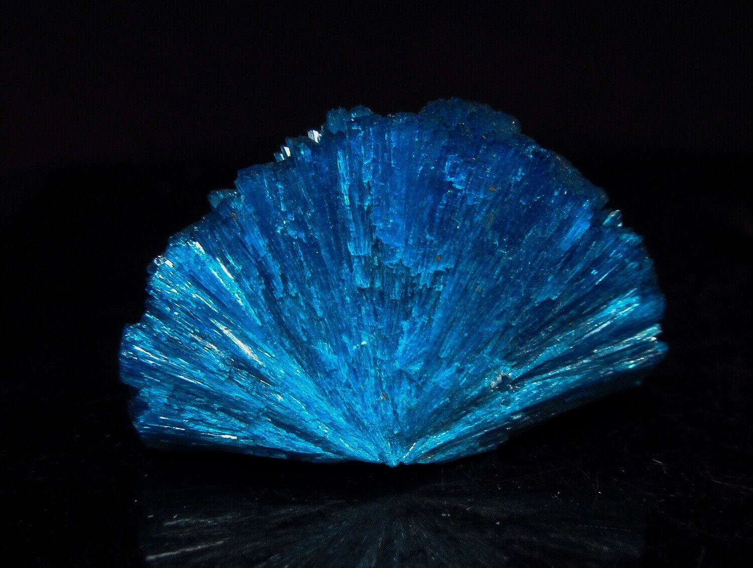 Dark blue Cavansite half rosette formation (non precious natural stone) # 2214