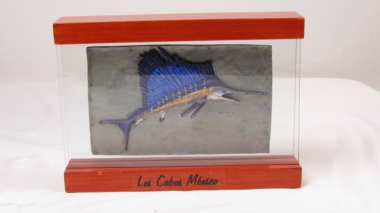 BLUE FIN SWORDFISH  IN GLASS FRAME FROM LOS CABOS MEXICO