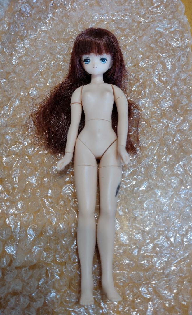Azone EX Cute EX☆CUTE 1/6Doll difficult can be No.5031