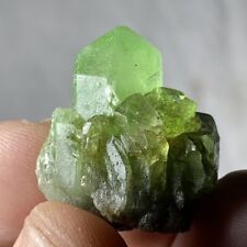 55 Carats  beautiful  Peridot Crystal Specimen from Supat Mine Pakistan picture