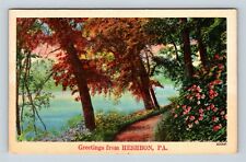 Heshbon PA, Scenic Greetings, River, Pennsylvania, Vintage Postcard picture